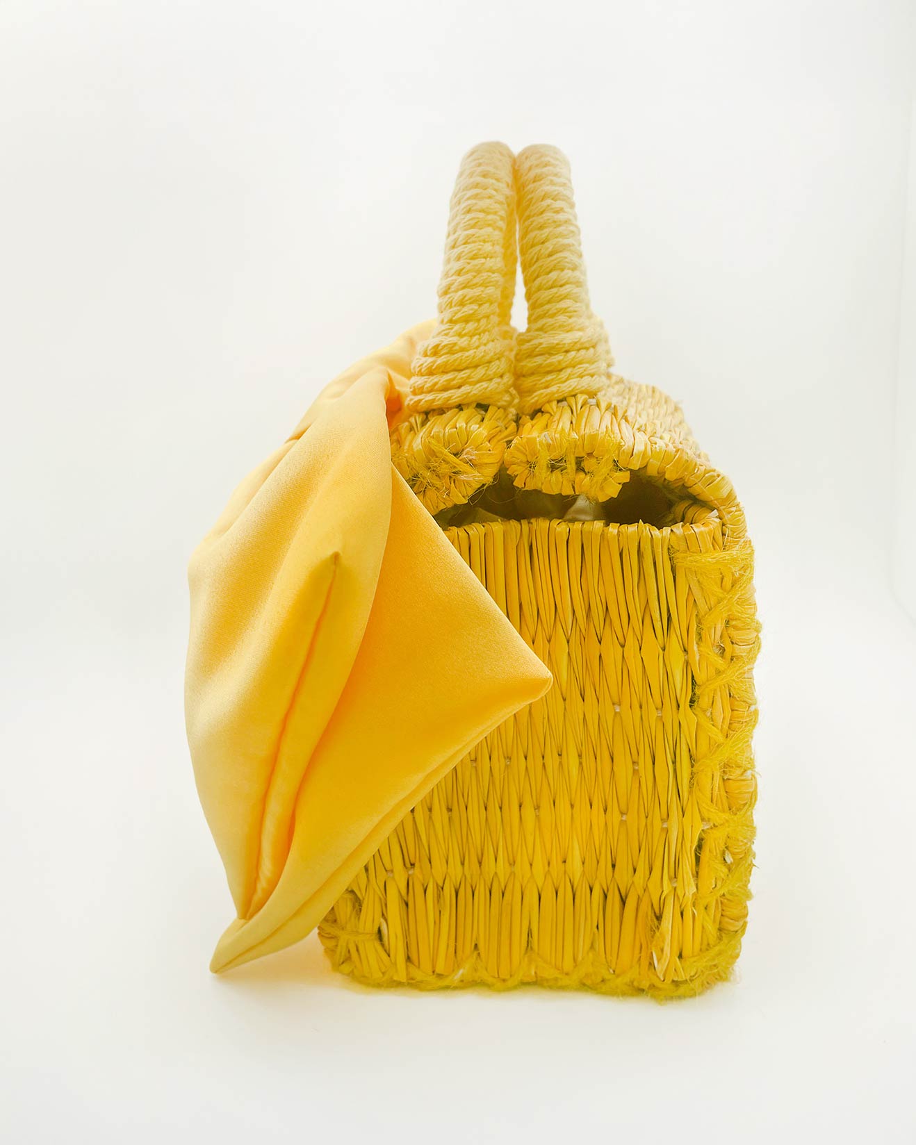 Amélia Bow Handbag